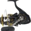 BG BLACK GOLD 3500 Moulinet Daiwa -Pêche Soldes 00001 BG BLACK GOLD 3500 Moulinet Daiwa