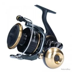 BG MQ 20 000 ARK 2020 Moulinet Spinning Daiwa