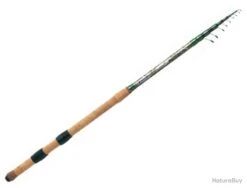 Canne Garbolino Téléblocable Trout Hunter 4.80M