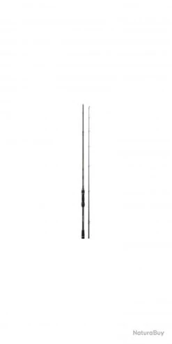 Evolution III Casting CANNE EVO 3 CAST. 2,13M 10-42G