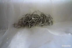 Hameçons 20 Mustad Par 500 Blanc Extra Court