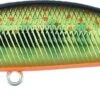 Leurre Duo Spearhead Ryuki 45 Sk MCC4084 -Pêche Soldes 00001 Leurre Duo Spearhead Ryuki 45 Sk MCC4084