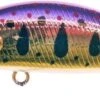 Leurre Zip Baits Rigge Flat 50S 804 1 Leurre Zip Baits Rigge Flat 50S 804 -Pêche Soldes 00001 Leurre Zip Baits Rigge Flat 50S 804