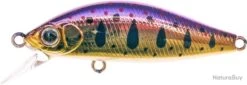 Leurre Zip Baits Rigge Flat 50S 804