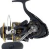 Daiwa MOULINET BLACK GOLD 5000