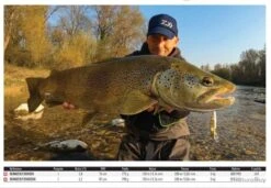 SilverCreek MQ 22LT 2500 S XH Moulinet Spinning Daiwa 5 SilverCreek MQ 22LT 2500 S XH Moulinet Spinning Daiwa -Pêche Soldes 00002 SilverCreek MQ 22LT 2500 S XH Moulinet Spinning Daiwa