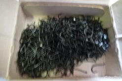 Hameçons 15 Canelle Par 1000 Bleu Renversé -Pêche Soldes 00003 Hamecons 15 canelle par 1000 bleu renverse