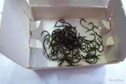 Hameçons 16 MUSTAD 530 Lot 500 Ham -Pêche Soldes 00003 Hamecons MUSTAD 530 lot 500 ham