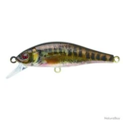 Leurre Coulant Sakura Flat Phoxy Minnow Hw - Holo Trout / 8 G / 6 Cm -Pêche Soldes 00014 Leurre coulant Sakura Flat Phoxy Minnow Hw Holo Trout 8 g 6 cm